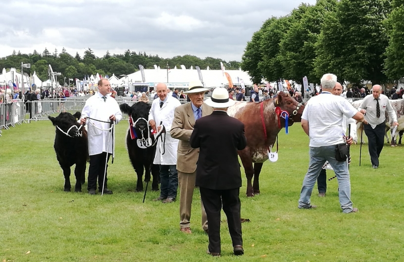 Three Counties Show