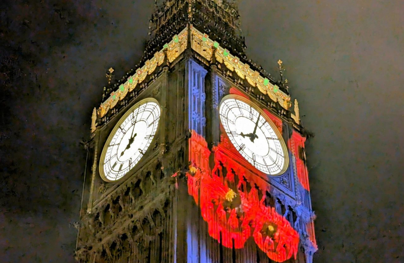 Westminster during Remembrance.