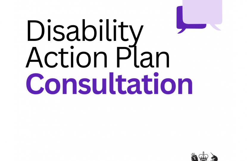 Graphic promoting the Disability Action Plan consultation reading, "Disability Action Plan Consultation"