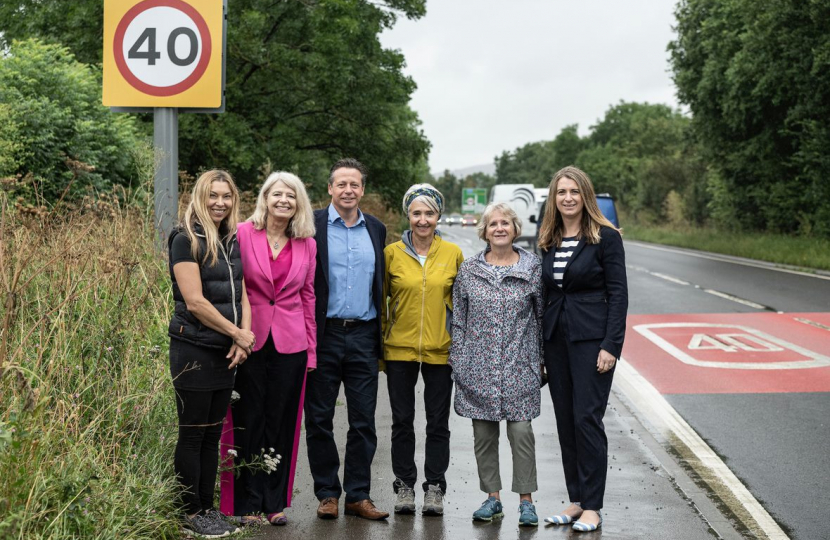 Reduced speed limit along the A46