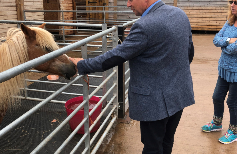 Local MP visits Gloverspiece Minifarm and Special School