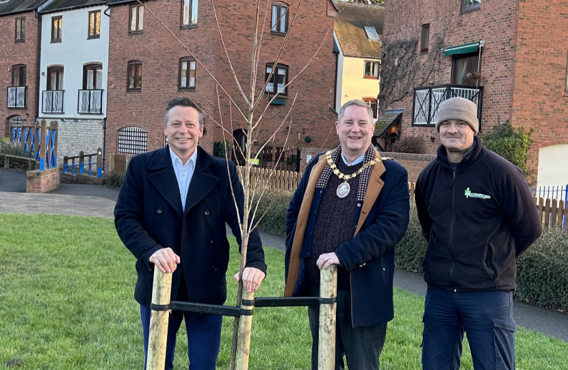 Trees Planted as part of Sakura Cherry Tree Project